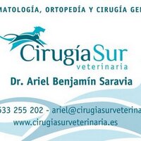 Ariel Saravia (@michysaravia) 's Twitter Profile