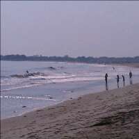 NHodgie's profile picture. 