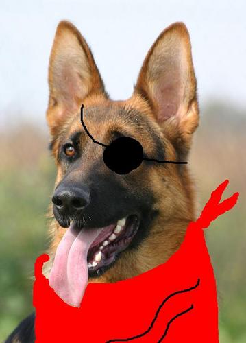 logo
http://t.co/DSjUjLWglD