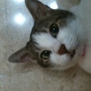 Jim Conner - @ManjaBear - Twitter