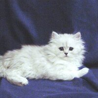 Justin Broadbent (@justinbroadbent) 's Twitter Profile