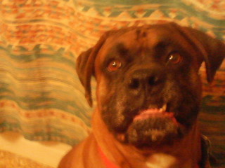 TimCasey1's profile picture. 