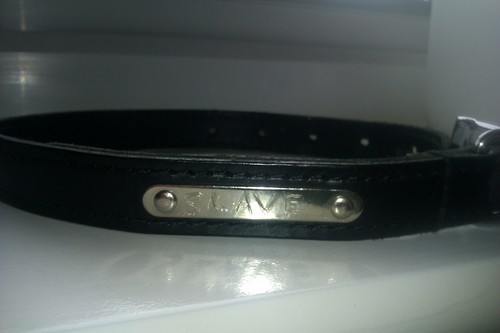 sublatex2012's profile picture. 27 year old chef. when i am not at work love nothing more than latex bondage and being dominated