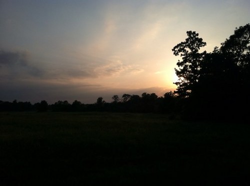 reina82704868's profile picture. east texan woman livin life to the fullest3!