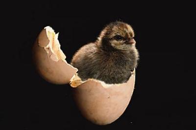 paquijandro's profile picture. 