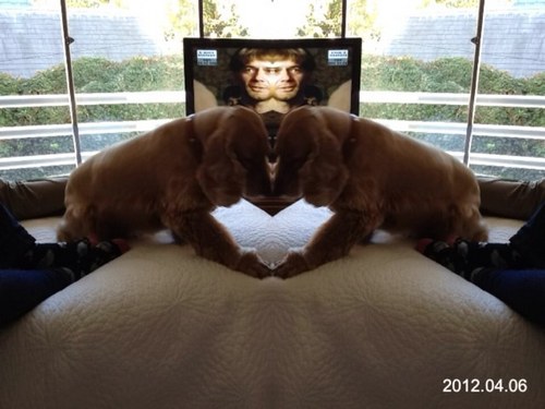 SebCorM's profile picture. 