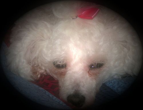 Mrtimisin's profile picture. 