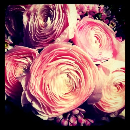 SterlingFell's profile picture. Sterling Fell Florist NYC does anything from custom floral designs, decorations, & installations to gifts, weekly accounts, & special events. NYC Delivery.