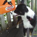 AARON BEHAN - @AARONBEHAN - Twitter