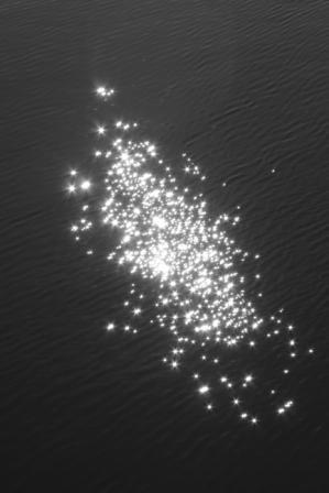 Iainsross's profile picture. There are things I really like, and things that make me angry. Twitter brings them together like the most disastrous family get together in history. Yay!
He/him