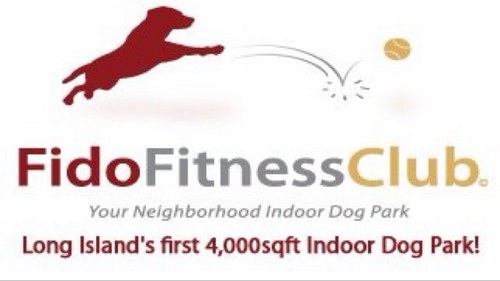 We're an indoor facility for canines and their humans including an indoor dog park, doggy daycare, training, and SO MUCH MORE!