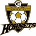 ESU Soccer (@esusoccer) Twitter profile photo