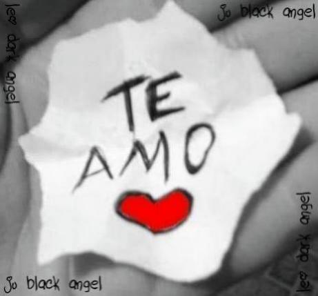 Amo frases e seguidores :)