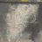 neutral_fusyou's profile image