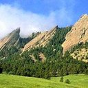 Danielle Heilmann - @luketheseal - Twitter