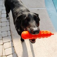 Jackie Guelker (@jguelker) 's Twitter Profile Photo Jackie Guelker (@jguelker) 's Twitter Profile Photo