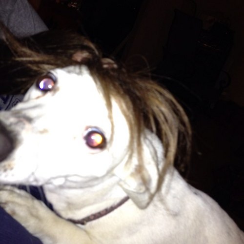 mclemore545's profile picture. 