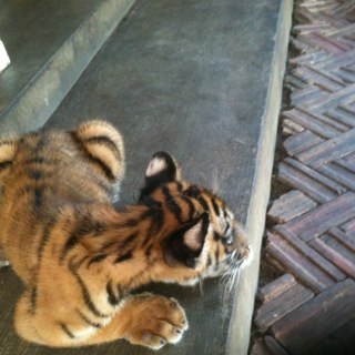 michael_gorman2's profile picture. 