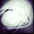 g_t88's profile image