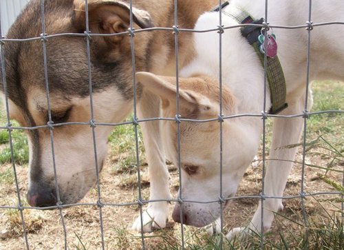 rmosley's profile picture. I like good beer, good people, crafty things, nerdy things, and animals.