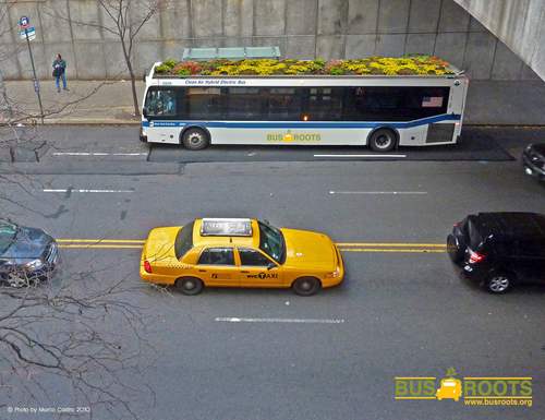 Bus Roots is a living garden on the rooftops of city buses. #greenroofs
FoST2017 Prize finalist #BUSROOTSVRV