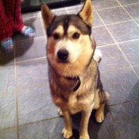 Peter Mulhall (@petermulhall) 's Twitter Profile