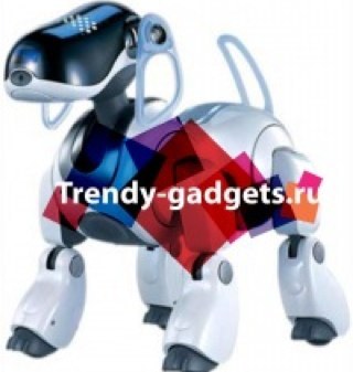 Trendy-gadgets.ru - магазин необычных устройств! Именно здесь вы найдёте необычный подарок, способный удивить и порадовать любого человека!
