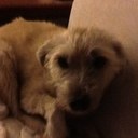 Randy Potts - @rphd0704 - Twitter