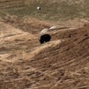 zach reed - @ReedZachreed - Twitter