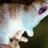 kuro_hanako's profile image