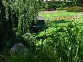 YouCanCreateJoy's profile picture. You can enhance your ability to create joy in your life. Our mission:To inspire and empower  people to live the joyful and abundant life of their dreams