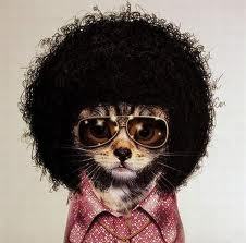 I enjoy Disco Dancing and walks on the beach while listening to Disco.