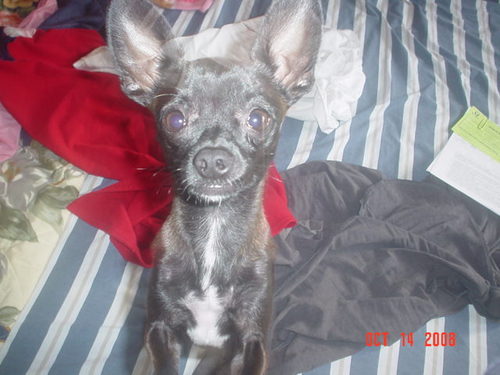 tu_papi184's profile picture. 