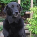 Joe Monteleone - @Joemonte59 - Twitter