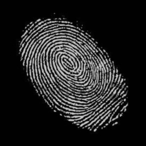 marshyt's profile picture. “Once a new technology rolls over you, if you're not part of the steamroller, you're part of the road.” -S. Brand