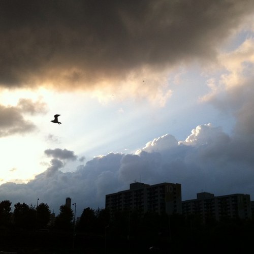 VoiceOf_citizen's profile picture. A common citien in Korea.
40대 대한민국 시민
양심적이고 정의롭고 상식적인 대한민국을 보고픈 사람. 
산사의 풍경소리 듣기를 좋아하는 사람.