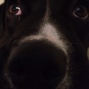 Aaron Hobaugh - @AaronHobaugh - Twitter