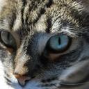 Kat Phillips - @phil7690 - Twitter