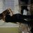darock1469's profile image