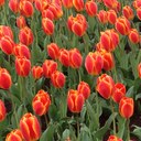 Krystal Mueller - @kjmueller7 - Twitter