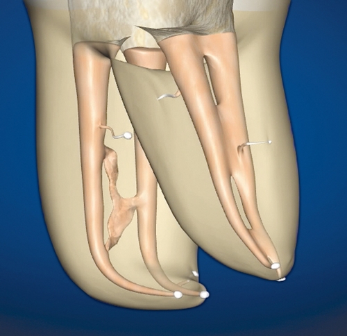 endojedi7's profile picture. 