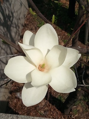 true_free's profile picture. 민서아빠, 글로벌스쿨, 멜로스, 미래학, 진리와 자유, 고전어,고대근동