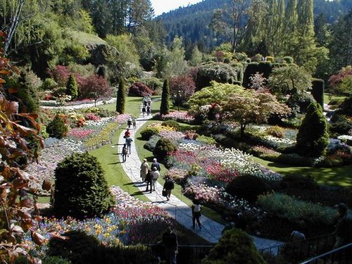 GardeningPLUS's profile picture. CEO of an online Gardening tips, tools, secrets, and advice business