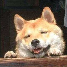 logitics_mono's profile picture. 