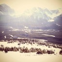 Kaley Taylor - @kataylor03 - Twitter