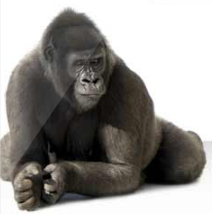 CulverSIxtynine's profile picture. 