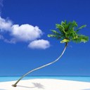 Ellen - @EllenBeachLvr - Twitter