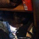 william moats - @WMoats - Twitter