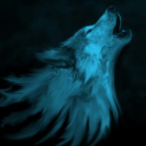WindySerenade's profile picture. Graphic designer, writer, gamer, and dachshund owner.