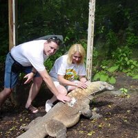 Robert Habegger (@snakeguypgh) 's Twitter Profile Photo